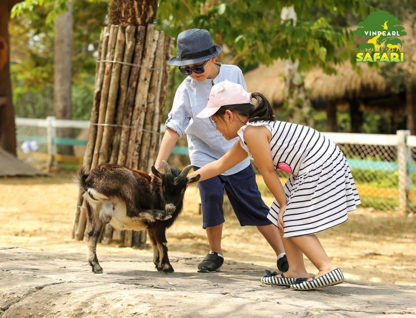 Kinh nghiệm tham quan Safari Phú Quốc dành cho người lần đầu đến Phú Quốc